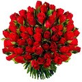 Bouquet de 100 roses rouges