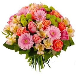 [CP014] Bouquet Sonora